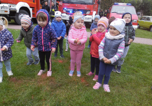 Obchody Ogólnopolskiego Dnia Przedszkolaka- festiwal kolorów