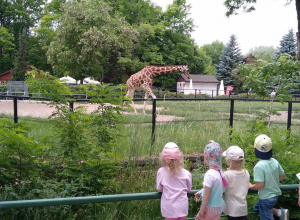 Wycieczka do ZOO w Łodzi