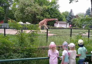 Zdjęcie 1 na 9