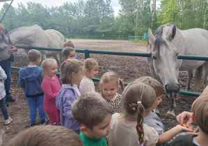 Zdjęcie 10 na 10