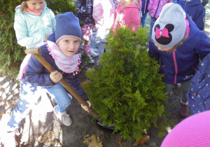 Sadzenie drzewa w ogrodzie przedszkolnym